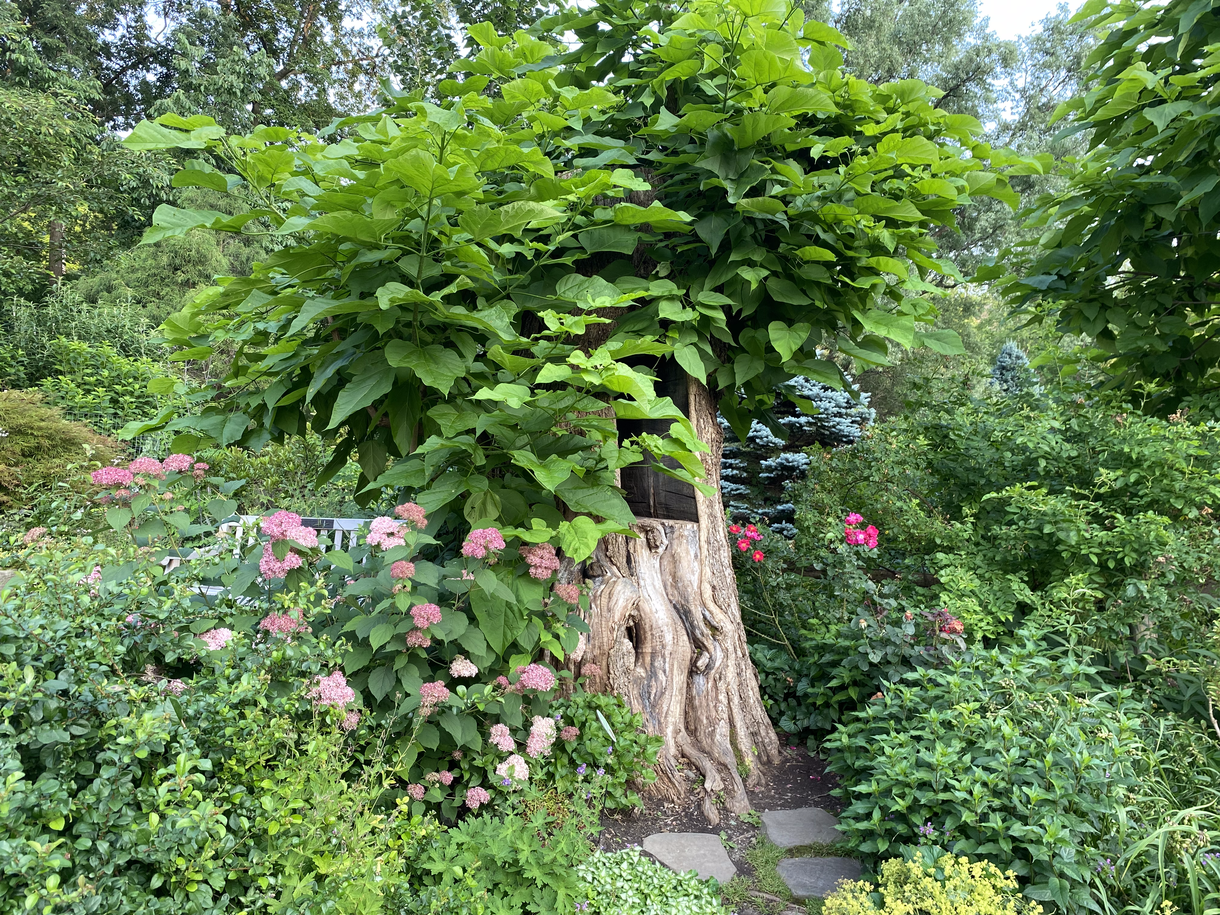 The Botanic Gardens at Cornell University.