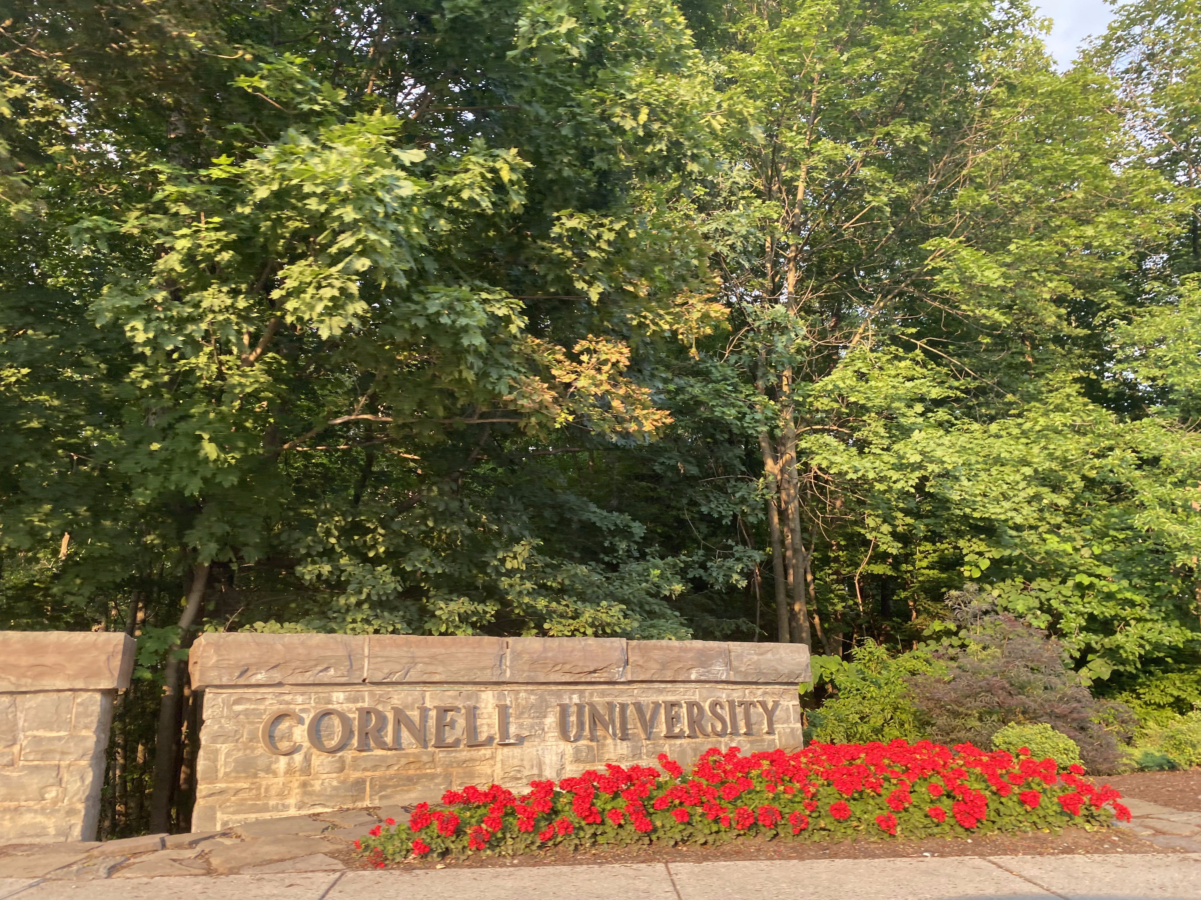College Avenue at Cornell University.