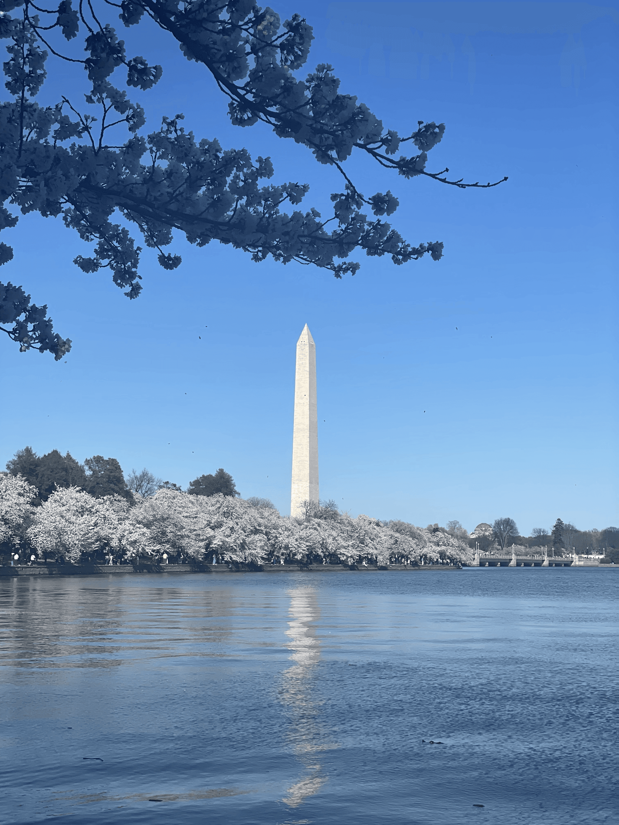 The Washington Monument in Washington, DC.