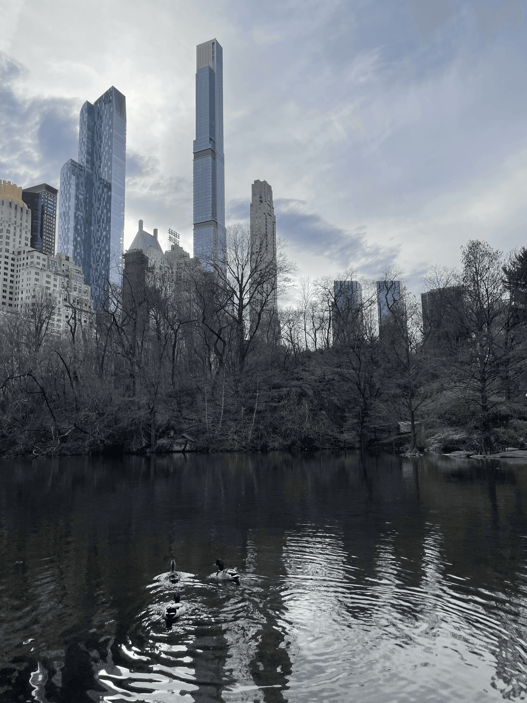 Views from Central Park.