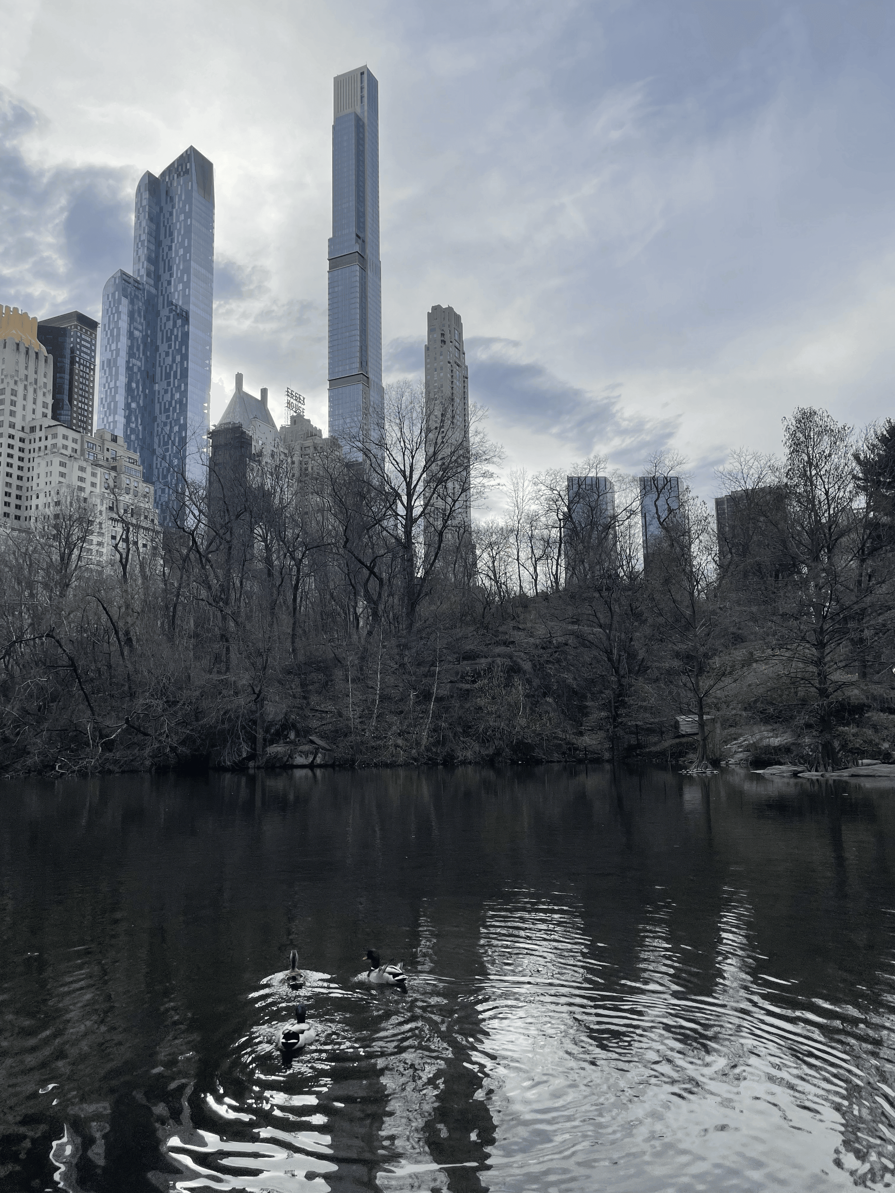 Views from Central Park.