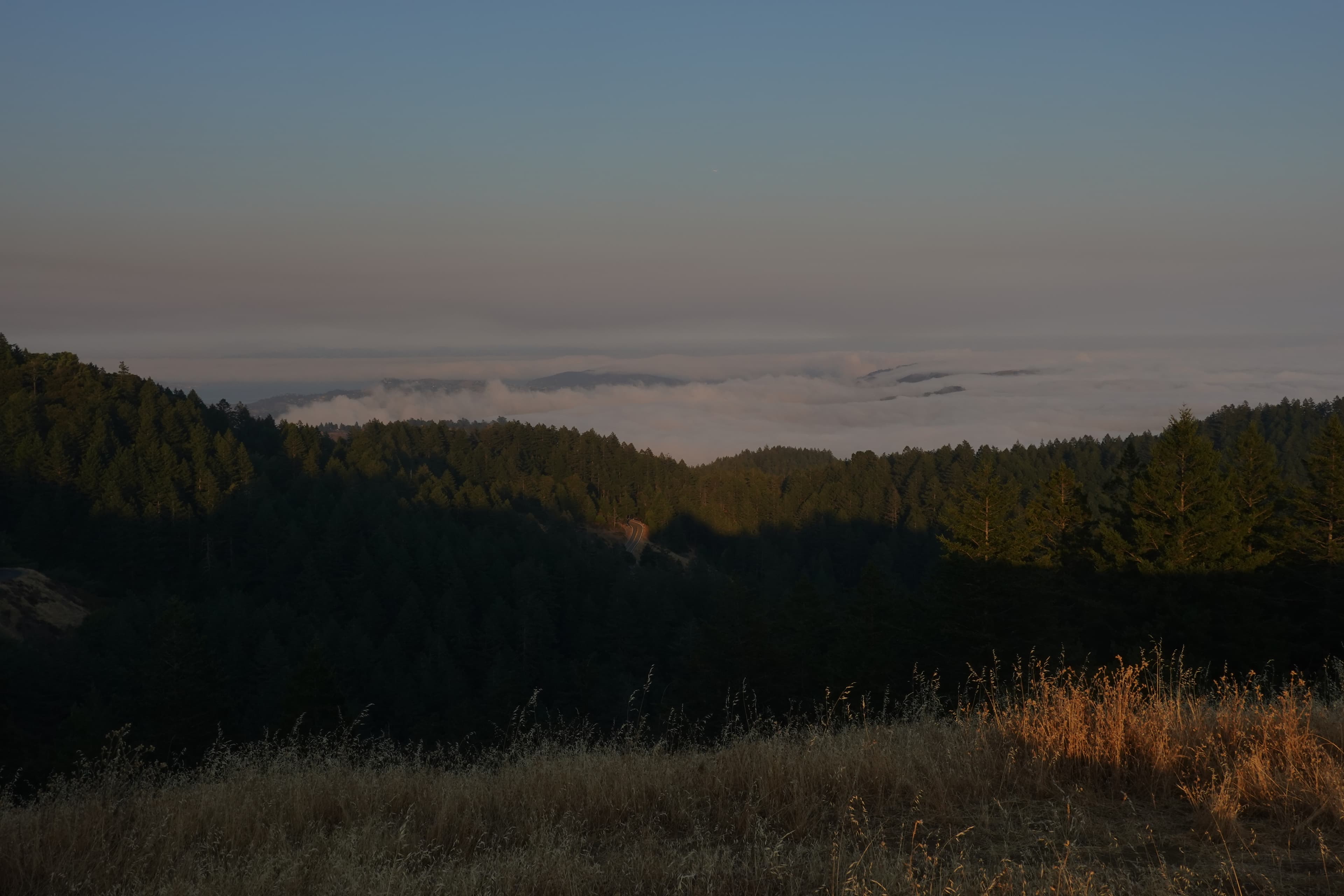 Some views of Mt. Tamalpais close to the sunset.