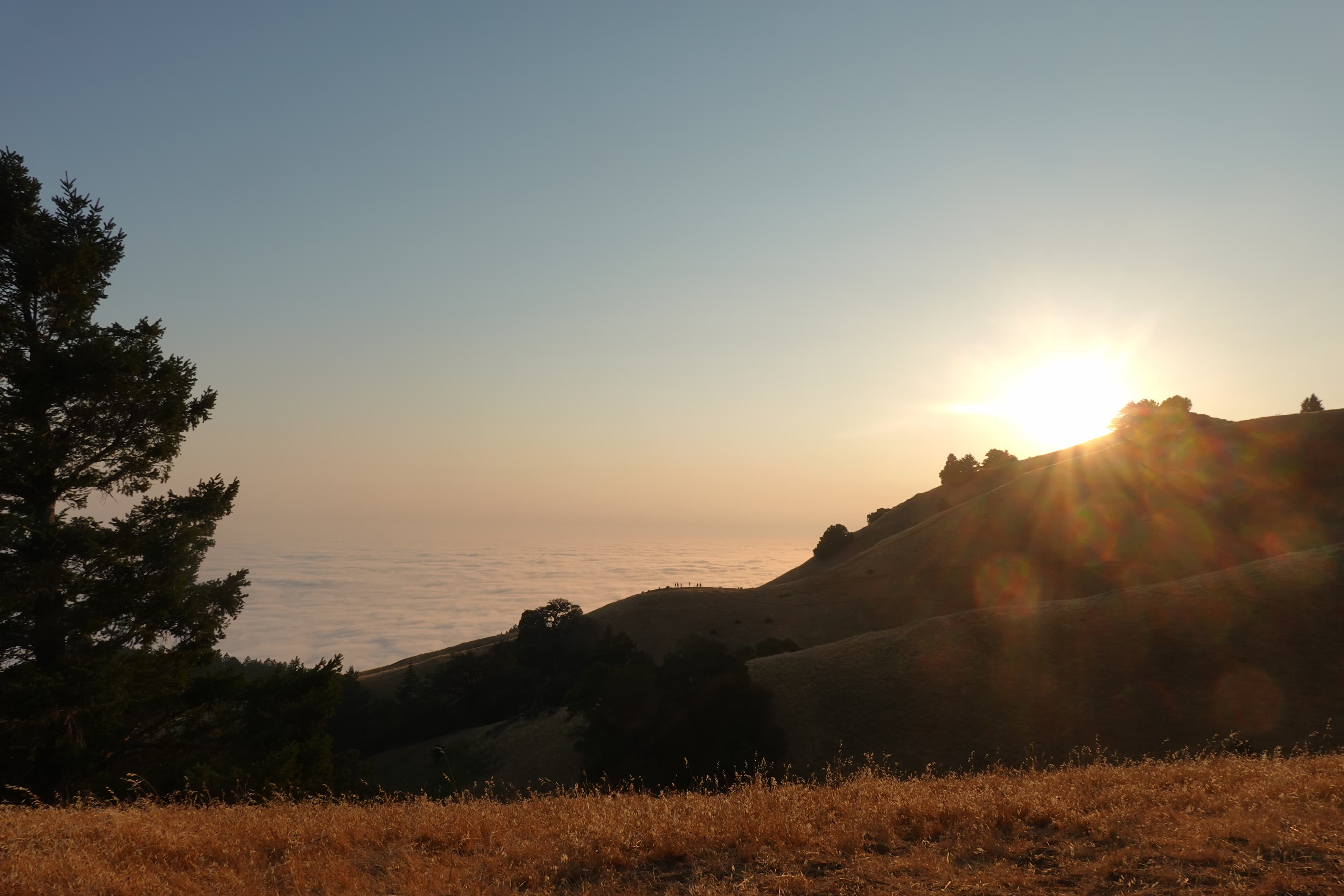Some views of Mt. Tamalpais close to the sunset.