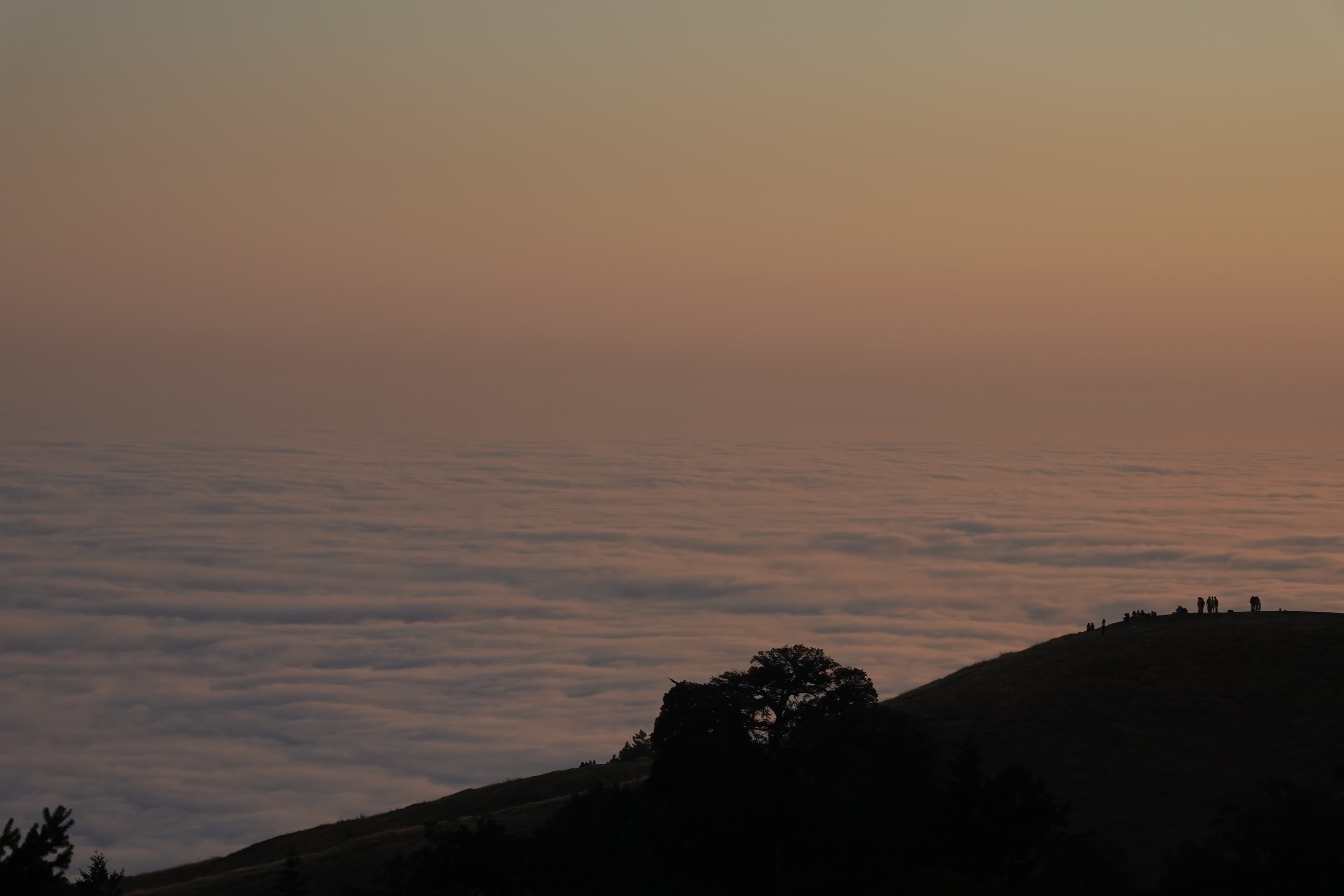 Some views of Mt. Tamalpais close to the sunset.