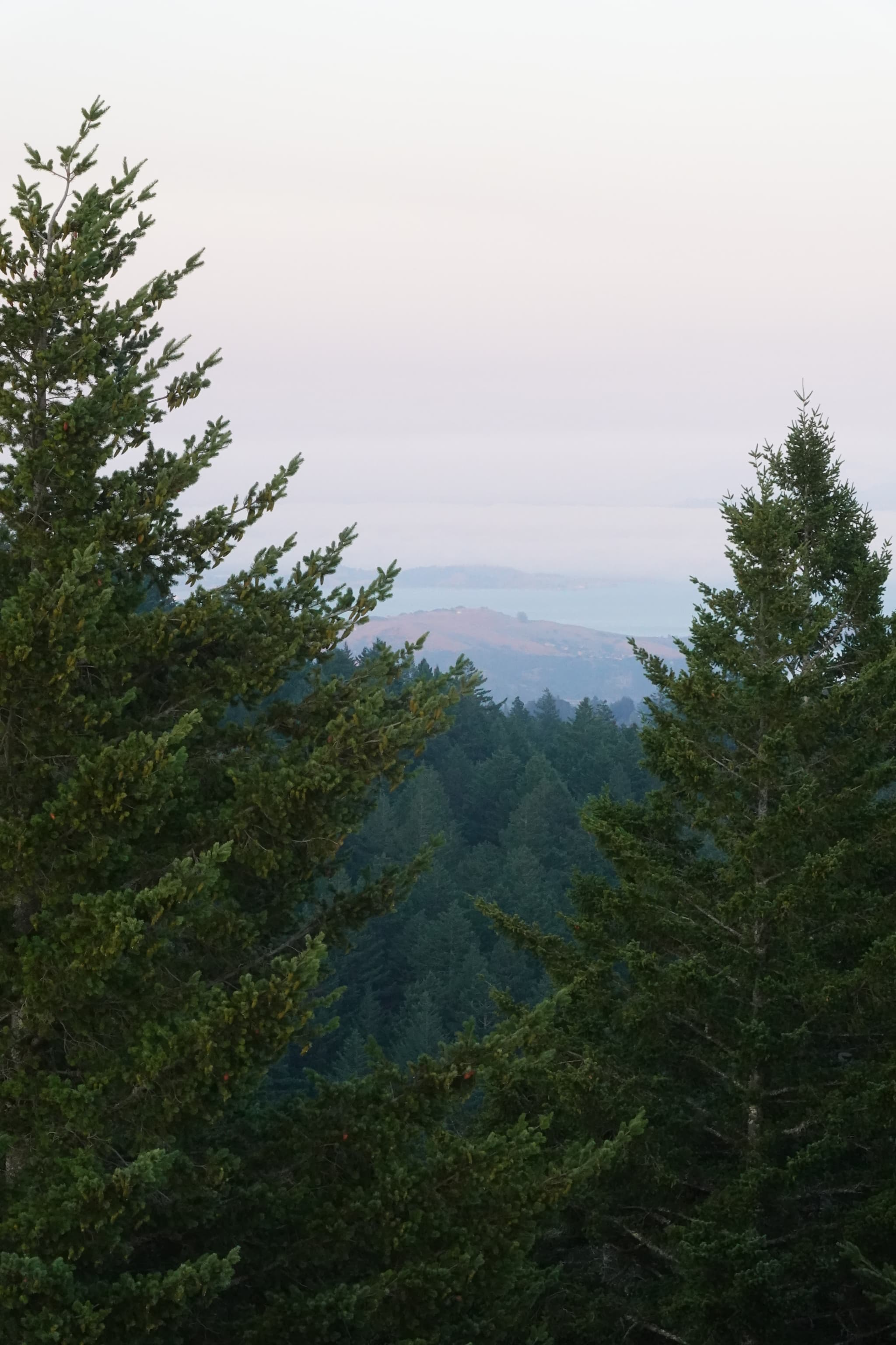 Some views of Mt. Tamalpais close to the sunset.