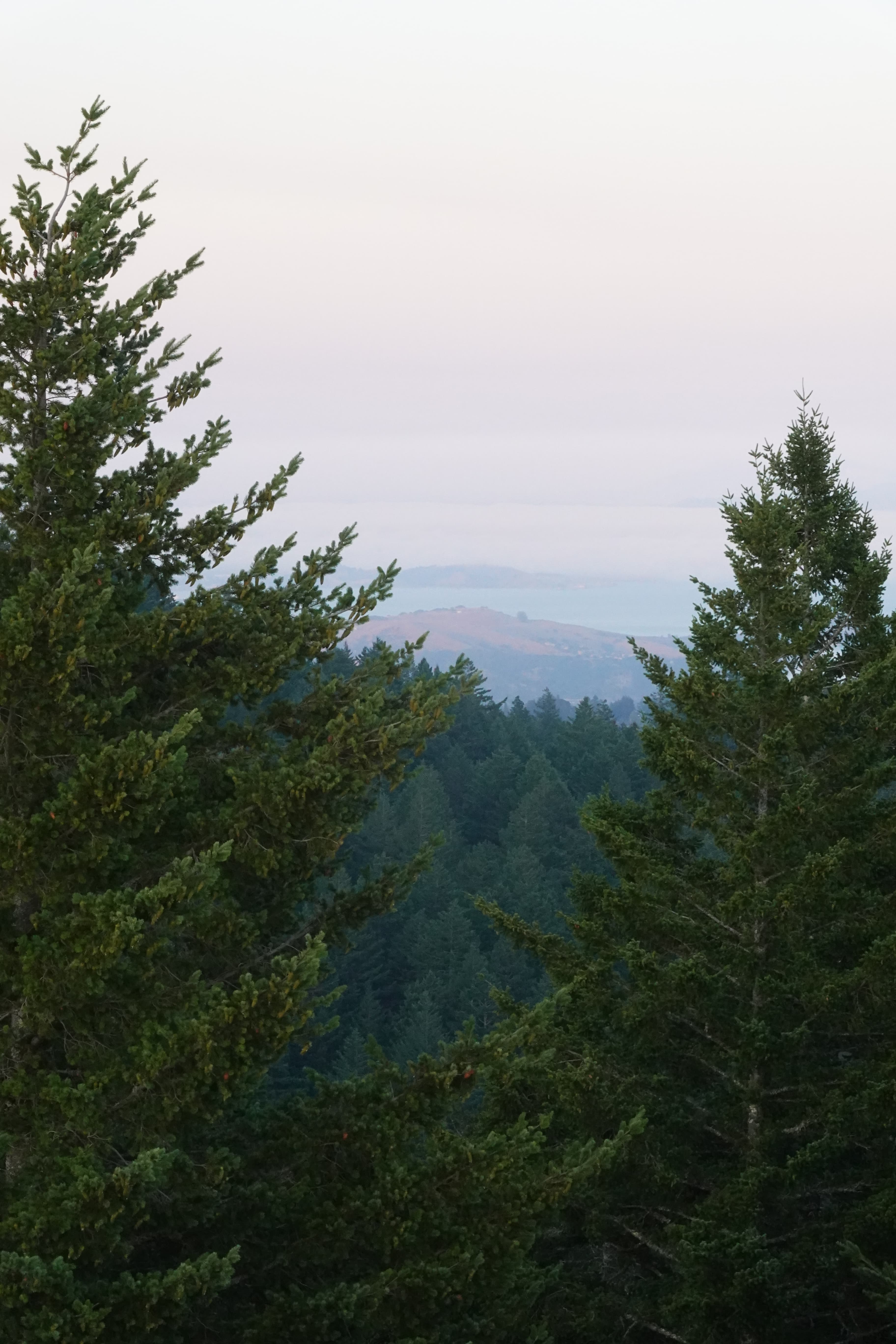 Some views of Mt. Tamalpais close to the sunset.