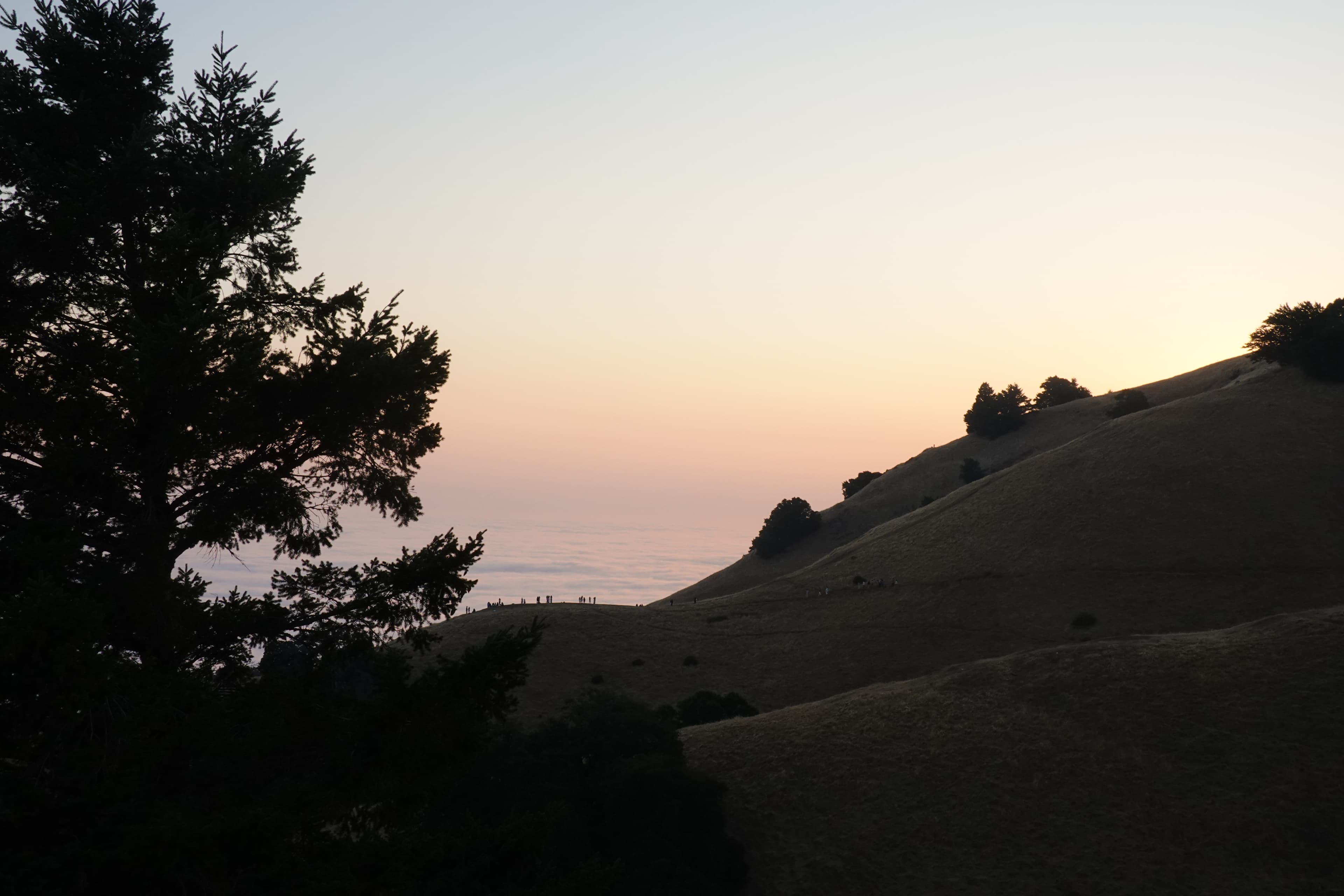 Some views of Mt. Tamalpais close to the sunset.