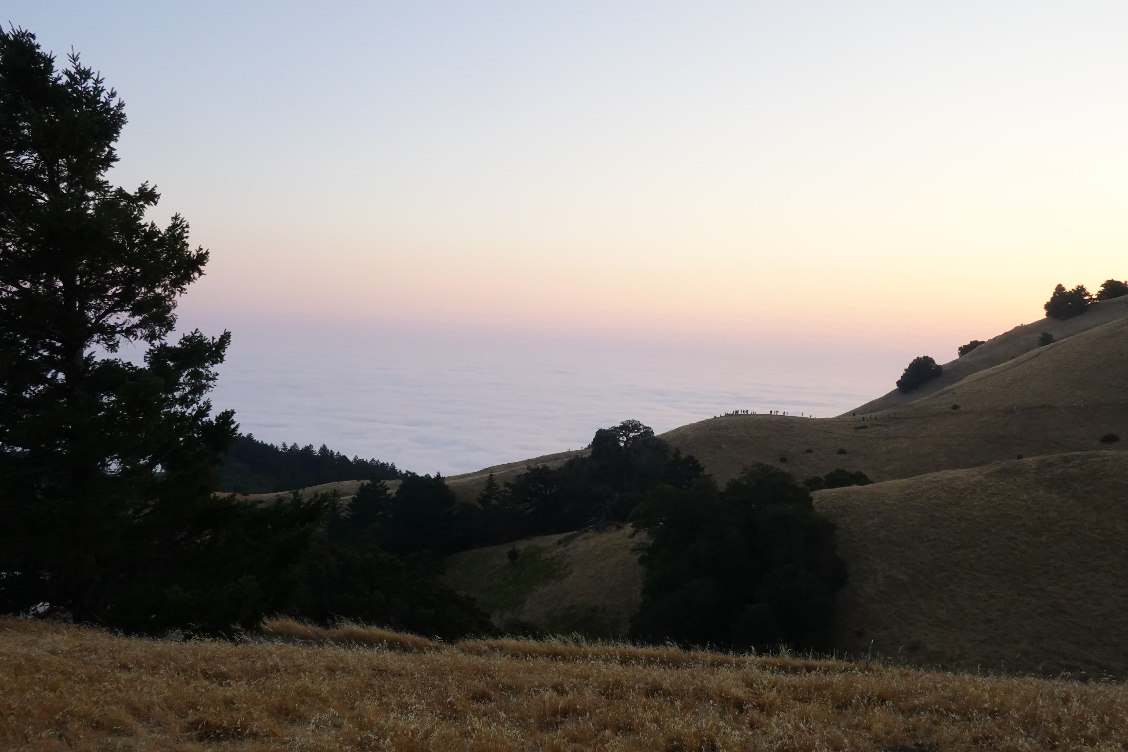 Some views of Mt. Tamalpais close to the sunset.