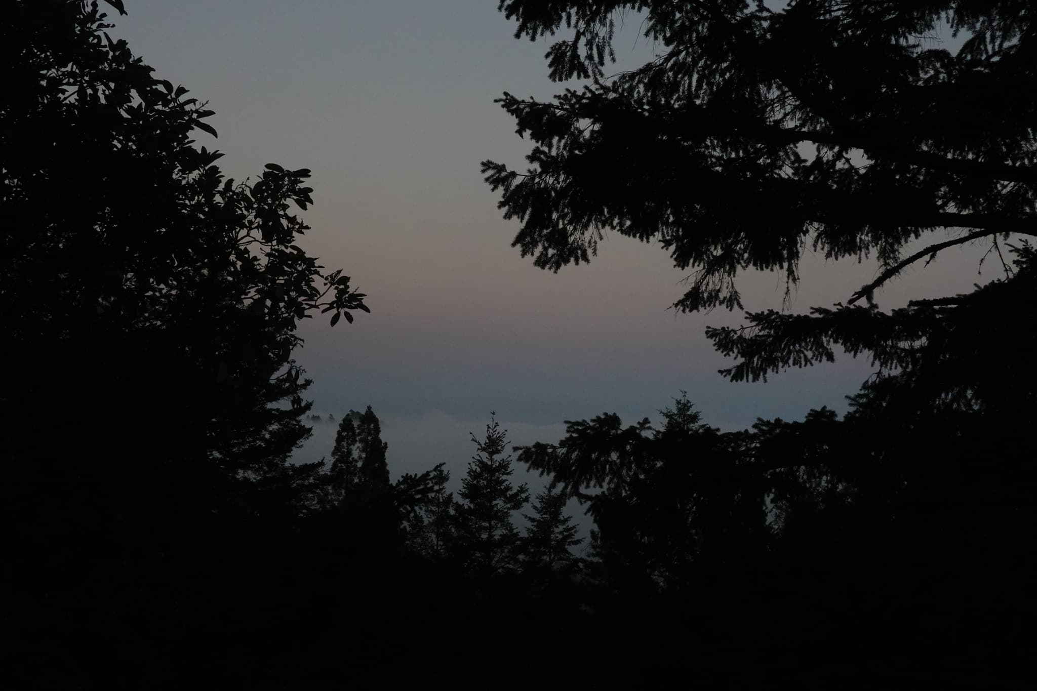 Some views of Mt. Tamalpais close to the sunset.