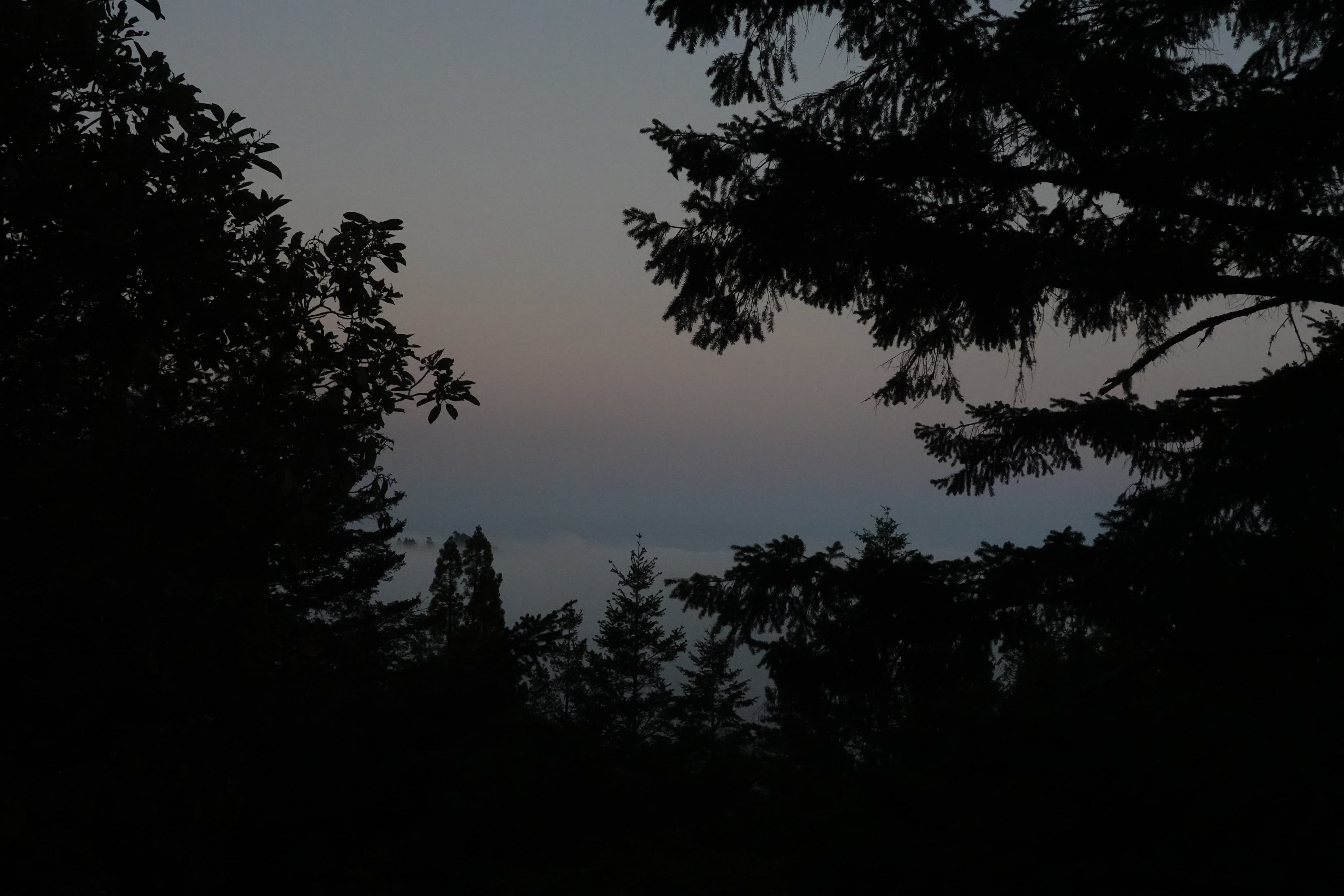 Some views of Mt. Tamalpais close to the sunset.