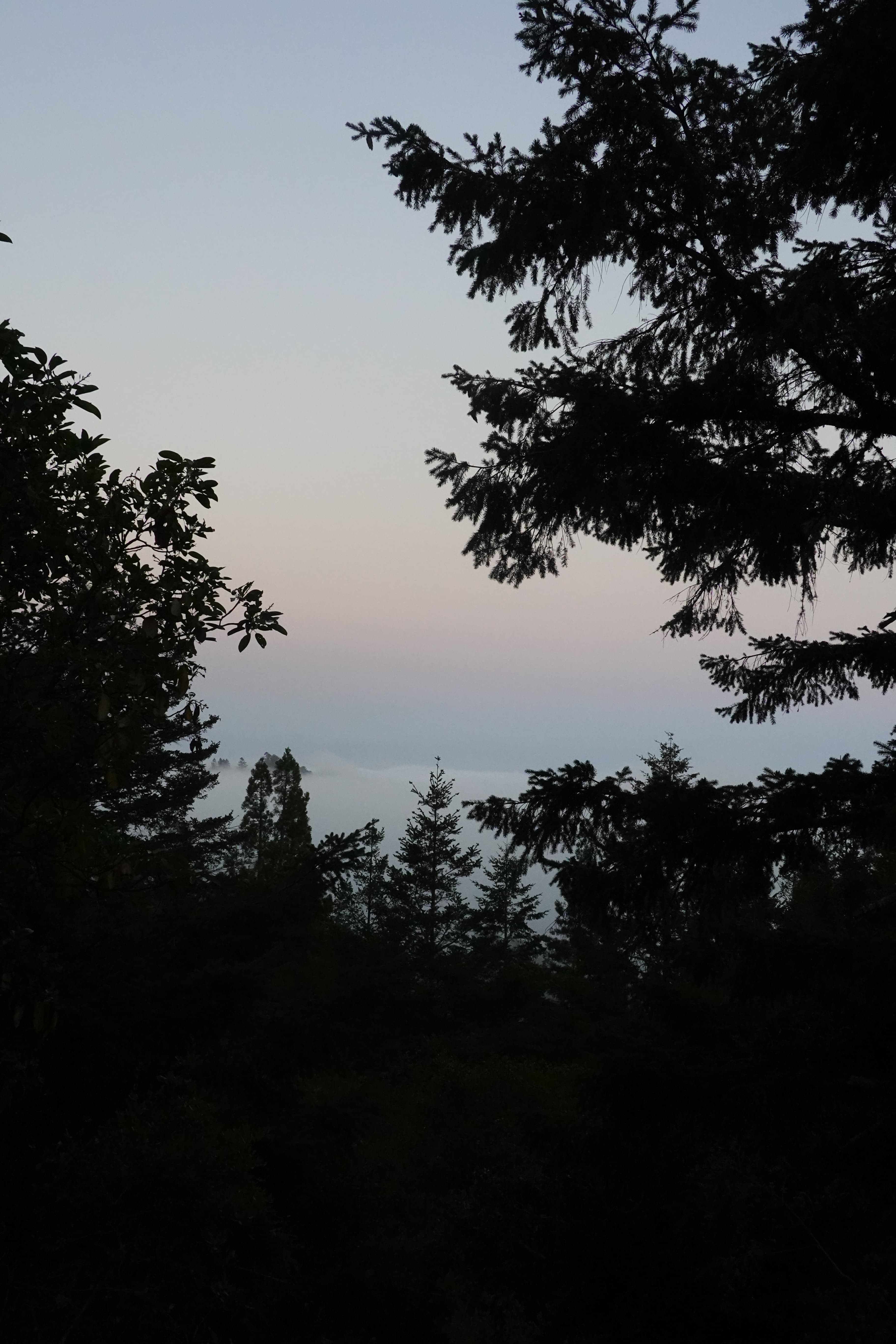 Some views of Mt. Tamalpais close to the sunset.