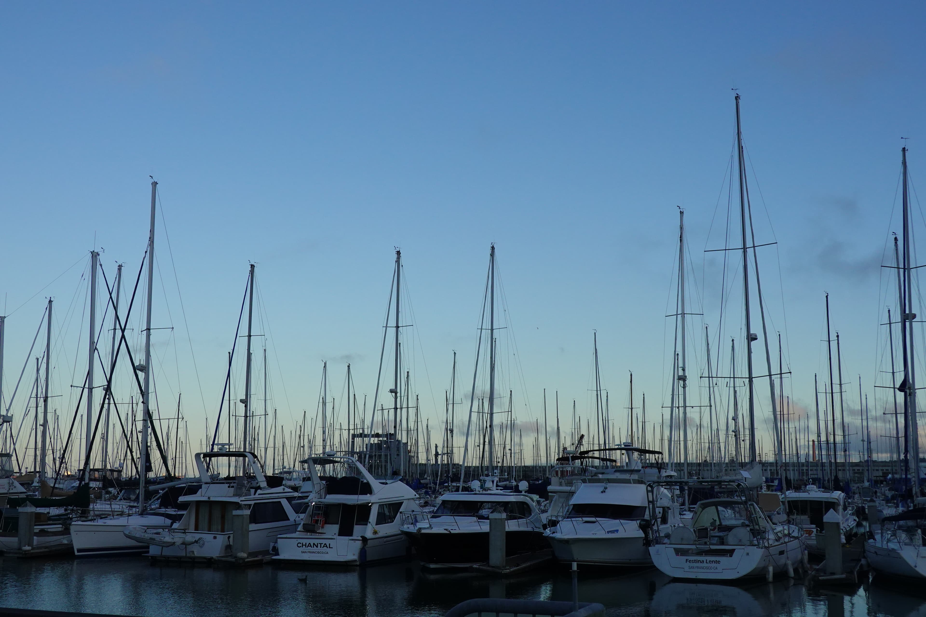 Boats docked at Pier 40.