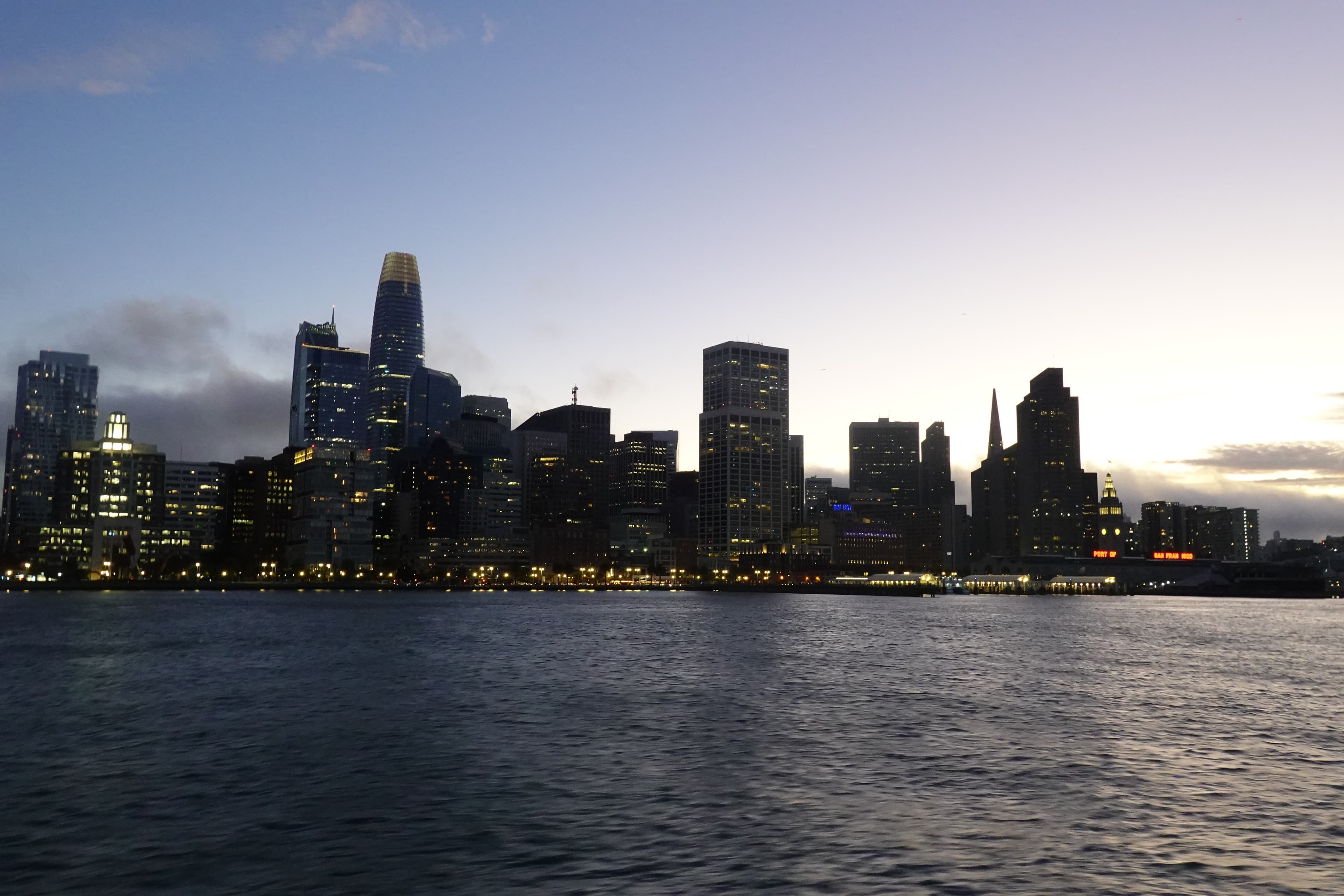 The San Francisco skyline.