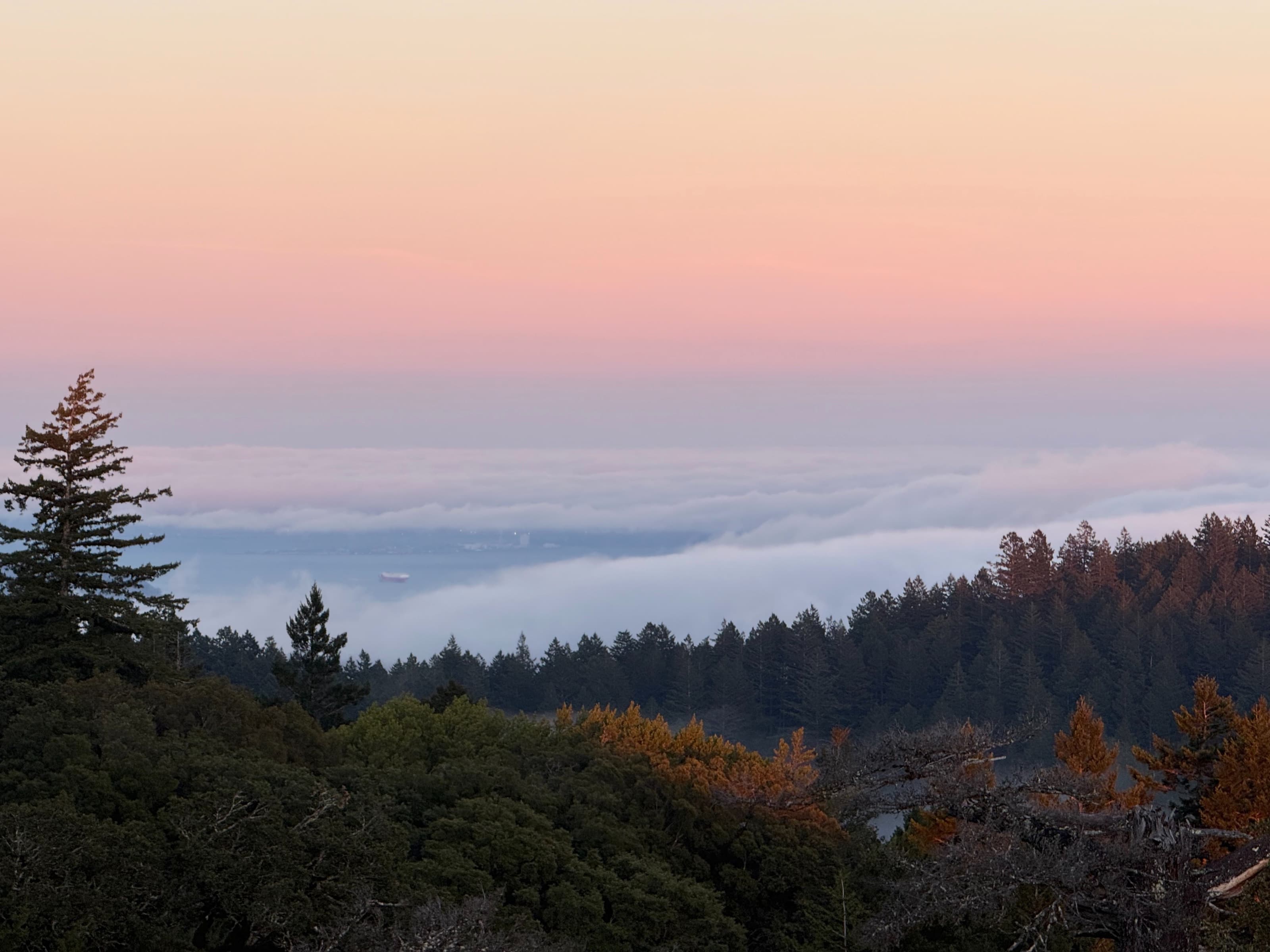 Fog settling over the forests below Trojan Point.